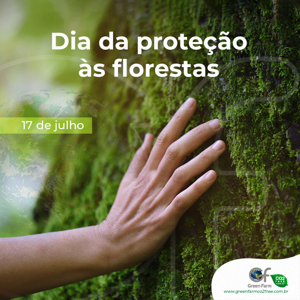 17 de julho - Dia da proteção às florestas - Green Farm