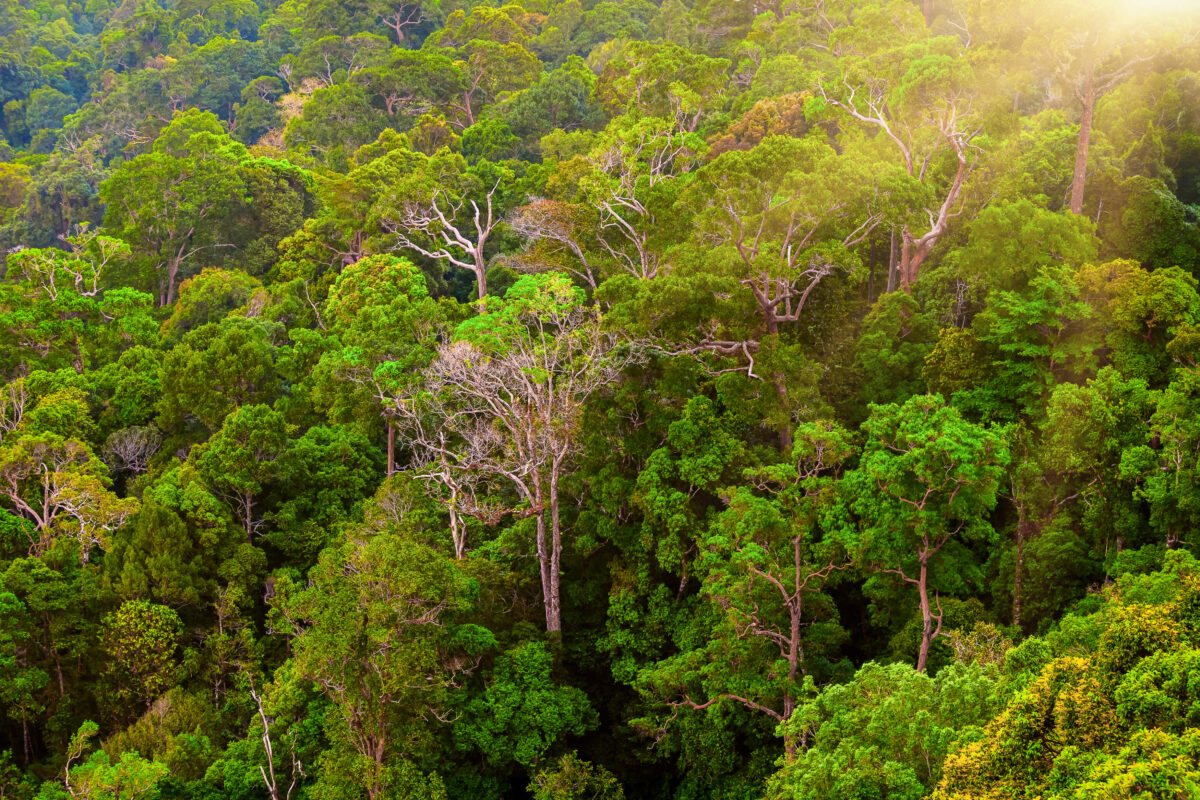 biodiversidade