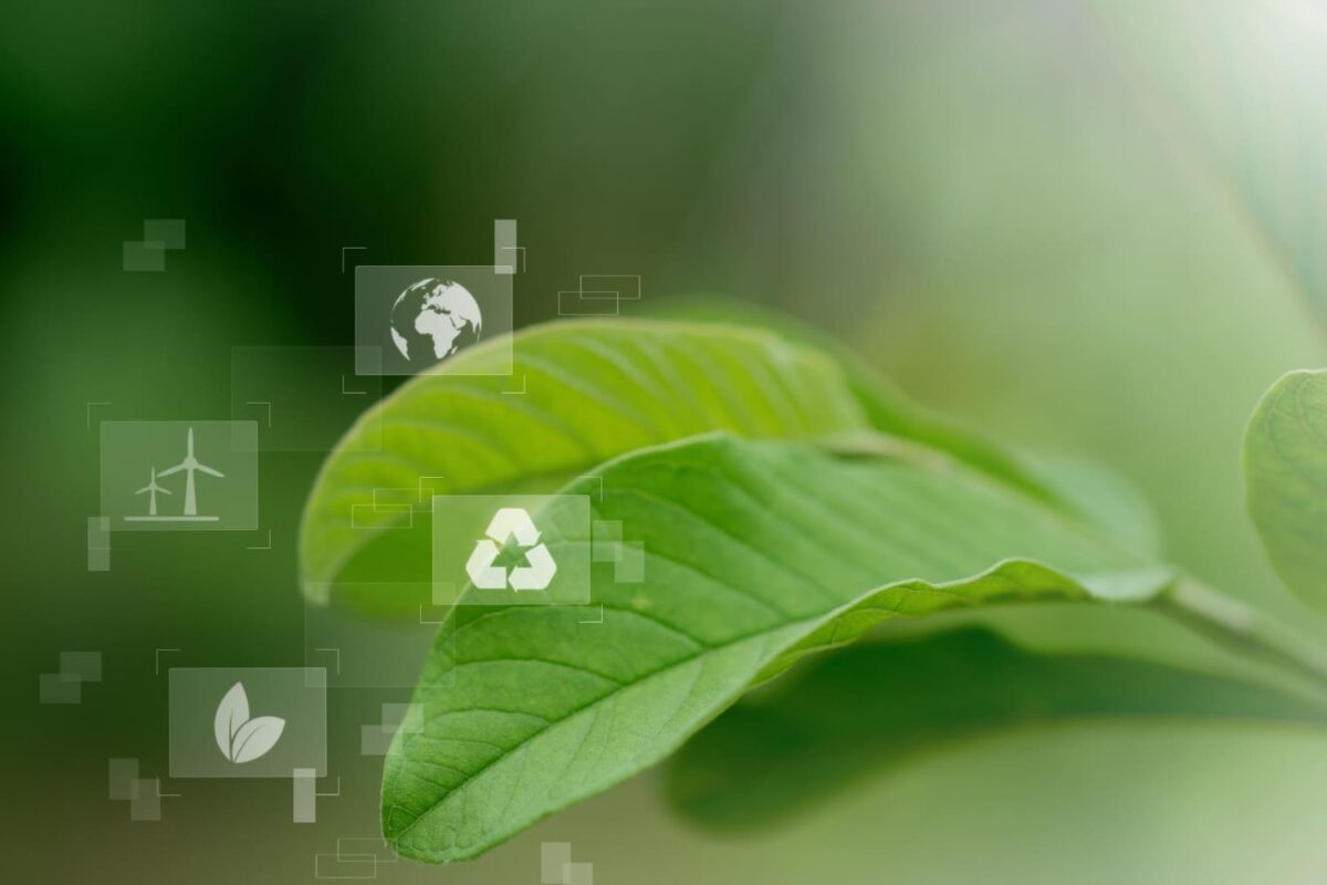 Ações de Sustentabilidade nas empresas: guia prático